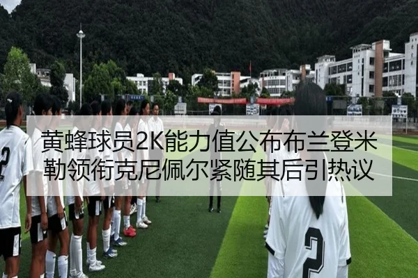 黄蜂球员2K能力值公布布兰登米勒领衔克尼佩尔紧随其后引热议 | kaiyun