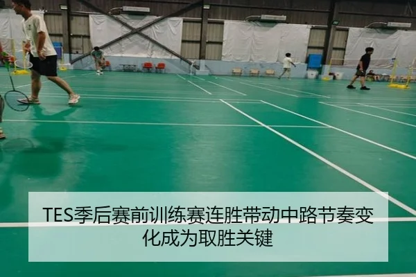 TES季后赛前训练赛连胜带动中路节奏变化成为取胜关键 - kaiyun